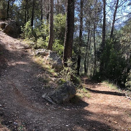 Casas Rurales Arroyo De La Sierra Yeste Buitenkant foto